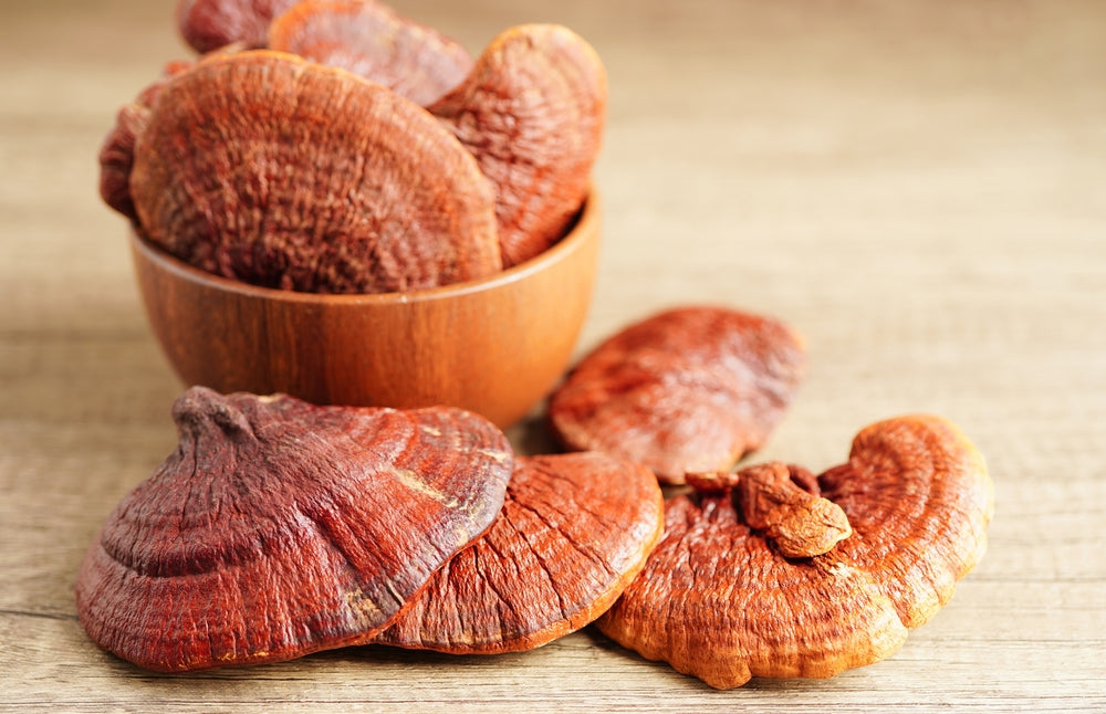 KOREAN LINGZHI MUSHROOM EXTRACT GOLD PLUS