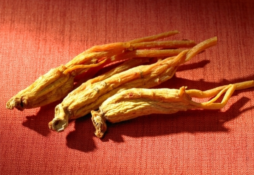 Effects And Side Effects Of Ginseng Korean Red Ginseng Youngs Goods effects-and-side-effects-of-ginseng-korean-red-ginseng-youngs-goods
