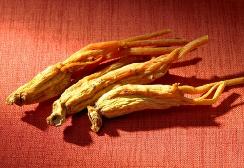 Effects and Side Effects of Ginseng