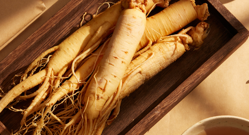 GINSENG 101