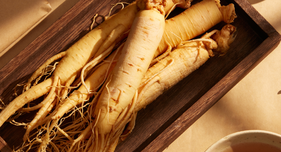 What are the Benefits of Korean Red Ginseng?